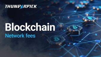 Blockchain Network Fees 2025